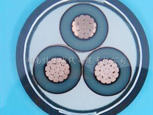 交联铠装系列黄瓜视频18下载