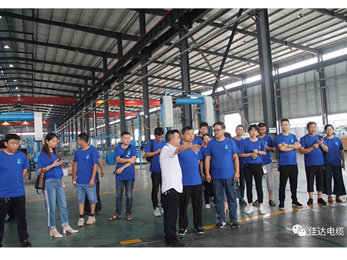 黄瓜视频WWW.XY17APP电缆有限公司,黄瓜视频WWW.XY17APP电缆,湖南黄瓜视频WWW.XY17APP，