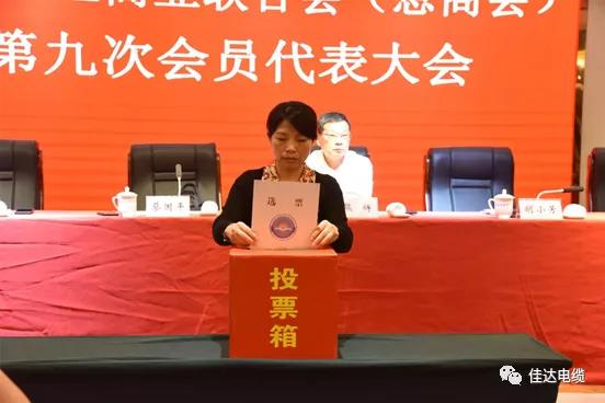 黄瓜视频WWW.XY17APP电缆有限公司,黄瓜视频WWW.XY17APP电缆,湖南黄瓜视频WWW.XY17APP，