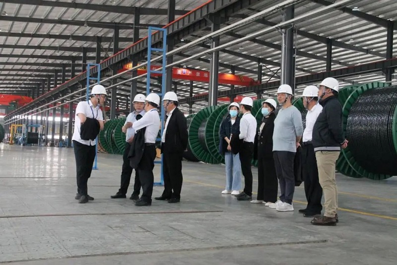 黄瓜视频WWW.XY17APP电缆有限公司,黄瓜视频WWW.XY17APP电缆,湖南黄瓜视频WWW.XY17APP，