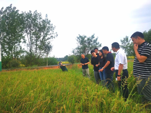 黄瓜视频WWW.XY17APP电缆有限公司,黄瓜视频WWW.XY17APP电缆,湖南黄瓜视频WWW.XY17APP，